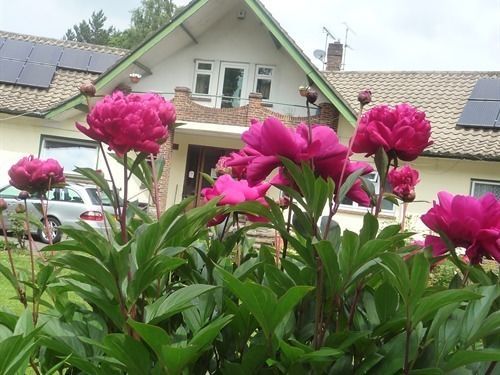 Linchens Bed And Breakfast Felbridge Buitenkant foto