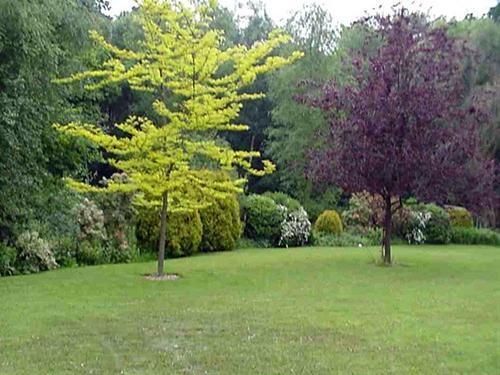 Linchens Bed And Breakfast Felbridge Buitenkant foto